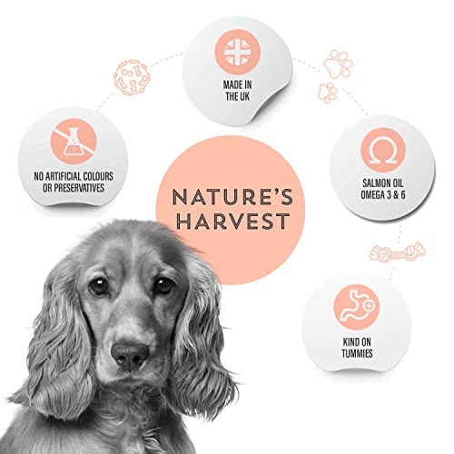 Natures Harvest Complete Hypoallergenic Dog Food â Lachs- und Süßkartoffel-Freefoods©©für wählerische Esser und Hunde mit empfindlichen Mägen | 10x395g | Allergiefreies Hundefutter