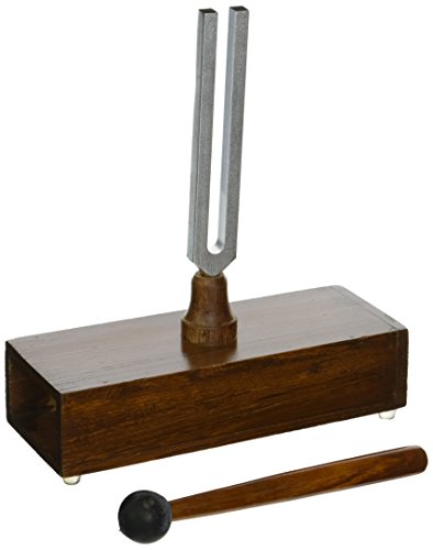 Delta Education Resonance Box with Tuning Fork, 341.3 Hz