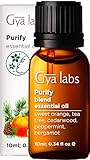SI SU HOGAR NECESITA UN POCO DE FRESCURA, nuestra mezcla de aceites esenciales Purify podría ser lo que necesita. Elaborada con aceites esenciales de purificación, esta mezcla elimina los malos olores y refresca el entorno para un hogar más limpio y fresco.