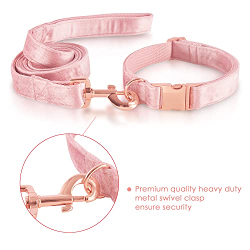 Bubblepupvelvetdogcollarandleashsetdogcollarsforsmallmediumlargedogsleashfortrainingwalking  Urban Country Home Decor Bubblepup velvet dog collar and leash set dog collars for small medium large dogs leash for training walking  urban country home decor
