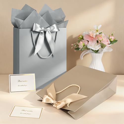 Image of JMANNI Gift Bag, 2PCS Gift Bags with Ribbon and 2 Greeting Cards 4 Tissue Paper, Portable Paper Gift Bag with Handles, Birthday Gift Bags,Present Bags for Wedding Party Mothers Day (Champagne silver)