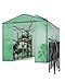 6 X 8 ft Portable Greenhouse for Indoor & Outdoor Plants, 72 X 96 in Durable PE Cover Pop-Up Green House Kit with Zippered Doors, Mesh Windows,Grow Tent for All Seasons - Easy to Assemble,Green