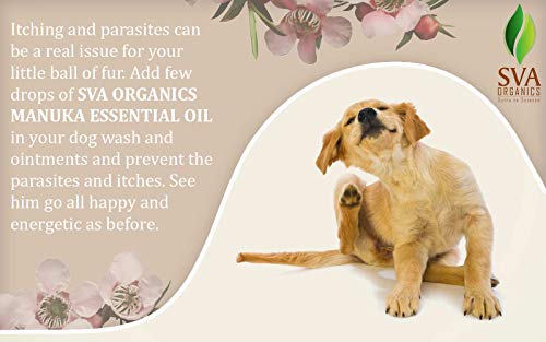 Sva Organics Manuka Essential Oil 10 Ml Pure Natural Undiluted Oil For Skin, Face, Face, Nails, Body Care & Aromatherapy #TOP6