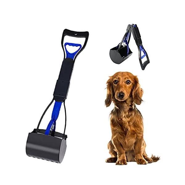 Long Handle Pet Cleaning Supplies Dog Poop Clip, Stool Shovel Artifact, Suitable for Large Dogs, Outdoor, Park Toilets