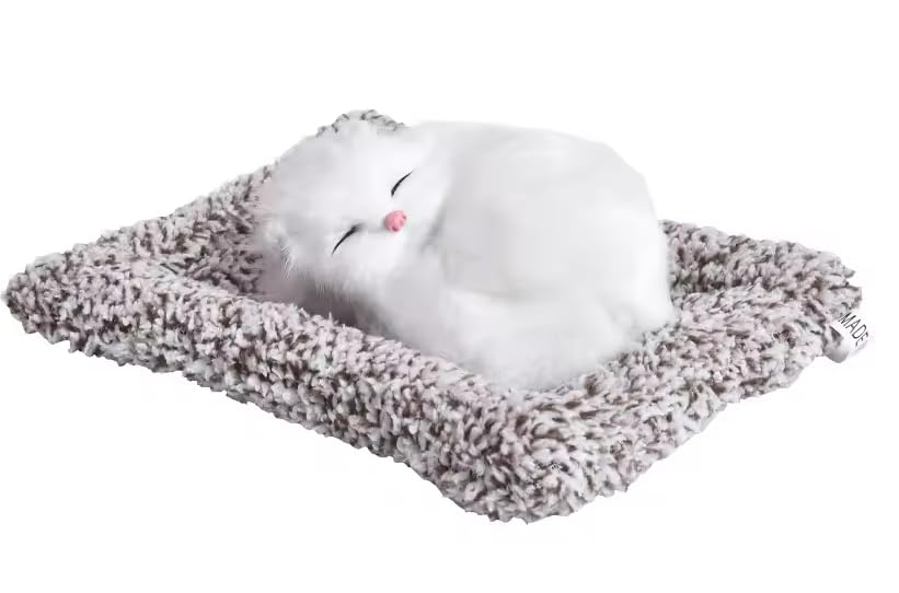 See full amazon price history chart for SCOOBA Super Soft Cat Stuffed Toy, Car Dashboard Showpiece, Soft Plush Realistic Cat Figurine with Bamboo Charcoal for Home Décor, Office and Gift SCOOBA Super Soft Cat Stuffed Toy, Car Dashboard Showpiece, Soft Plush Realistic Cat Figurine with Bamboo Charcoal for Home Décor, Office and Gift (B0D9TK9W3N) Amazon Price History, Amazon Price Tracker