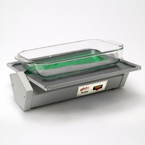 Globe Scientific 528-230 Rocker, 10 RPM, 12" x 12" Platform, 230V, 7.25 mm Height, 13.75 mm Wide, 15 mm Length