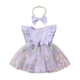 Hnyenmcko Newborn Baby Girl Summer Romper Dress Infant Fly Sleeve Flower Embroidery Mesh Tulle Skirt Hem Ribbed Bodysuit (Tulle-Purple AA, 3-6 Months)