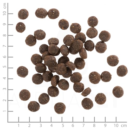 Warnicks Tierfutterservice Wolfsblut Range Lamb Puppy für Welpen mit Lamm und Reis SPARPACK 2x2Kg