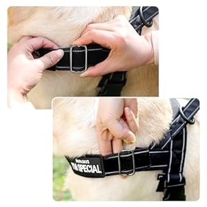 No Pull Dog Harness Reflective Escape Proof Dog Harness with 3 Adjustable Buckles for Small Medlium Large Dogs Brown L Cucciolini Doodles No pull dog harness reflective escape proof dog harness with 3 adjustable buckles for small medlium large dogs brown l cucciolini doodles