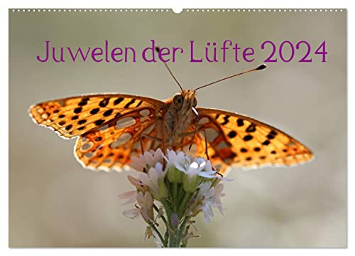 Juwelen der Lüfte 2024 (Wandkalender 2024 DIN A2 quer), CALVENDO Monatskalender: Ein Kalender über die Schönheit unserer einheimischen Schmetterlinge (CALVENDO Tiere)