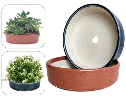 PLANTORI Succulent Pots, Succulent Planters,Pots for Succulent Plants, Bonsai Pots [Flat Trays for Plants,Set of 2 Ceramic Flower Pots for Plants (Cute,Multicolor | Small - 6 X 1.8 inches)