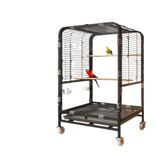 セキセイインコ 鳥かご セット」の人気商品一覧 | 安い商品を通販