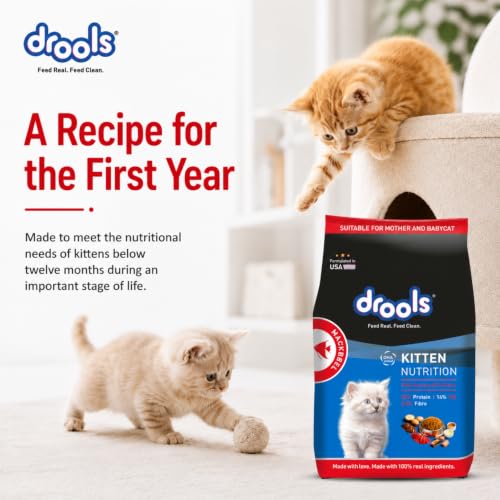 Drools Kitten Dry Cat Food, Mackerel, 1 kg - Image 3
