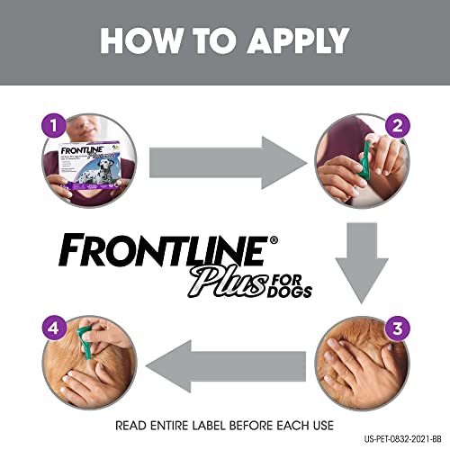 Shih Tzu with Fleas & Tick Treatment & Prevention Shih Tzu Times