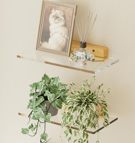 QsQueen Acrylic Floating Shelves with Solid Wood Base, Wall Mounted Shelf for Plants, Perfume, Nail Polish, Bathroom, Bedroom & Living Room Décor