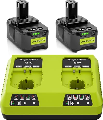 2X 18V 5,5Ah Batteries de Remplacement pour Ryobi One+ Chargeur Double Port 6 A DC18RD Compatible avec Ryobi P108 RB18L50 RB18L25 RB18L40 RB18L20 RB18L15...