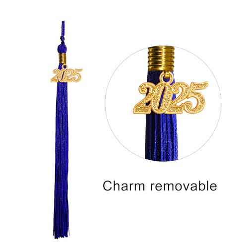 GraduatePro Matte Graduation Cap and Gown 2025 Set Bulk with Tassel for High School & College Royal 39