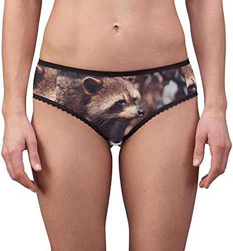 North American Raccoon Panties, North American Raccoon Underwear, Briefs, Cotton Briefs, Funny Underwear, Panties For Women