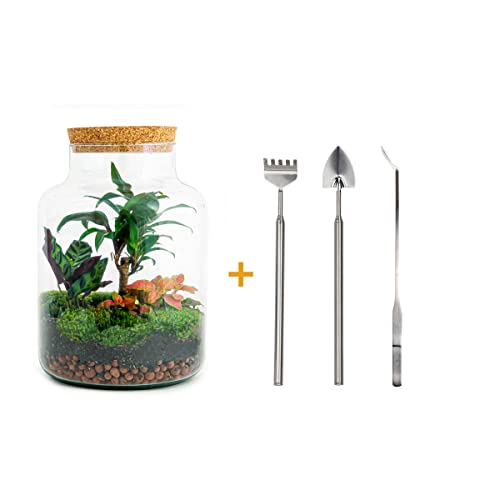 Foto von Flaschengarten • Milky Palm • Pflanzen im Glas • ↑ 30 cm - DIY - Terrarium Komplett Set - Pflanzenterrarium - urbanjngl | Terrarium kit