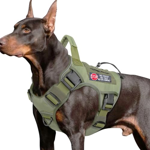 videojuegos-xbox, Home Imagen adicional