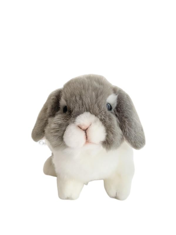 Lapin bélier à poils longs compagnon de sieste dans la chambre