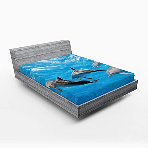 Ambesonne Dolphin 2 Pack Fitted Sheet, Happily Swimming Fish, Bed Cover All-Round Elastic Deep Pockets 2 Pieces, Package Contains 2 Full Size Fitted Sheets, Grey Blue
