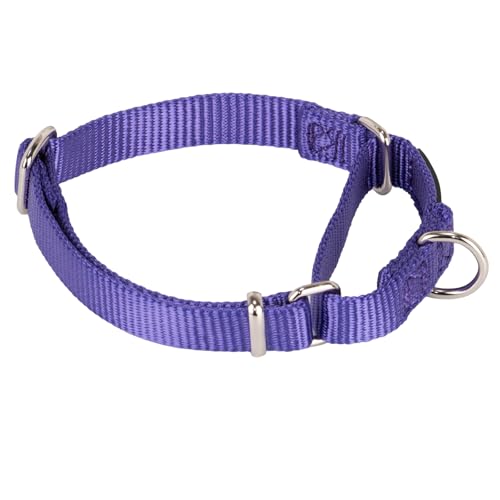Premium aggiornato collare per cani Martingale anti-fuga in nylon resistente per cani di taglia piccola di taglia piccola e media - Allenamento a piedi Uso quotidiano (Piccola S, Ultra viola)