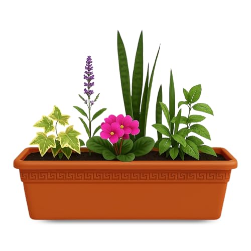 TECHZOCO Jardinera de plástico sin plato, Balconera plástico, Macetero para Jardín, Fabricado en Polipropileno, Apto balcón, Patio, Interior/Exterior, 50 cm Largo x 15 cm Alto x 18 cm Fondo, Terracota