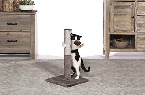 Prevue Pet Products Kitty Power Paws Play & Scratch gris miniatura 4
