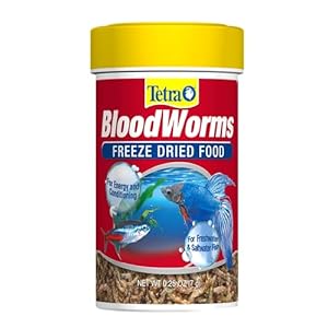 Tetra BloodWorms 0.25 Oz, Freeze-Dried Food for Freshwater and Saltwater Fish, Seafood (Pack of 1)