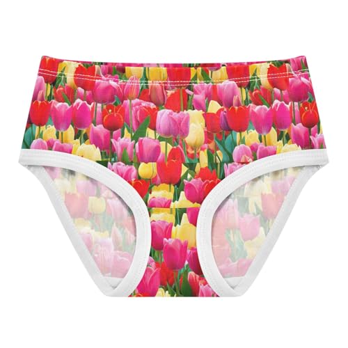 Joisal Colorful Tulips Red Pink Yellow Girls Underwear Toddler 2t Cotton Panties for Girl Fun Print Undies Kids Briefs