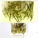 50g Té de flores Jazmín principios de primavera Té de hierbas orgánico natural en flor Imagen de 50g Té de flores Jazmín principios de primavera Té de hierbas orgánico natural en flor