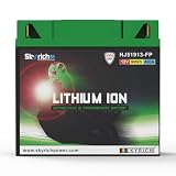 Skyrich HJ51913-FP Batteria Ricaricabile Litio 12V - Batterie Ricaricabili (Lithium, 12V 1pcs)
