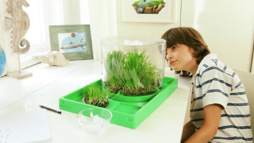 Ravensburger 18889 - Experimentierkasten ScienceX Ökosystem Erde – Bild 6