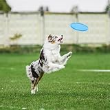 3 Stück Frisbee Hund Gummi 15cm Dog Disc Hundefrisbee Hunde Frisbee Scheibe für Werfen & Fangen, Target Bodentarget Hund Hundespielzeug Frisbees zum Apportieren für Hundetraining und Spielspaß