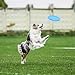 3 Stück Frisbee Hund Gummi 15cm Dog Disc Hundefrisbee Hunde Frisbee Scheibe für Werfen & Fangen, Target Bodentarget Hund Hundespielzeug Frisbees zum Apportieren für Hundetraining und Spielspaß