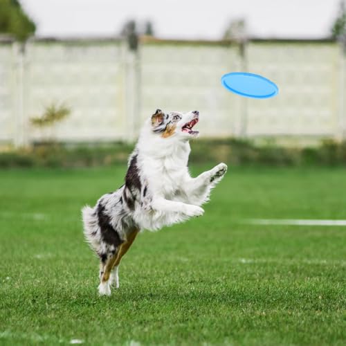 3 Stück Frisbee Hund Gummi 15cm Dog Disc Hundefrisbee Hunde Frisbee Scheibe für Werfen & Fangen, Target Bodentarget Hund Hundespielzeug Frisbees zum Apportieren für Hundetraining und Spielspaß