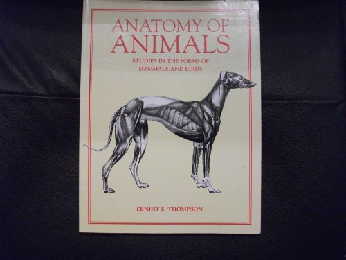 Anatomy of Animals 1858913888 Book Cover