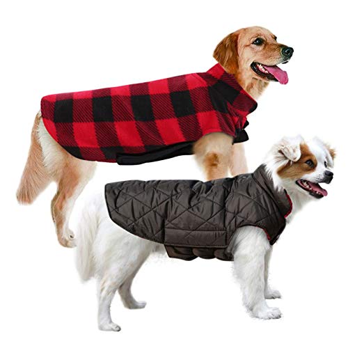 6 Best Dog Coats for Winter in 2020 (Cold, Rain and Bad Weather)