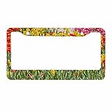 Nicokee Decorative License Plate Frame Fastasticdeals Tulip Flowers Car Tag Cover Aluminum Auto Lice