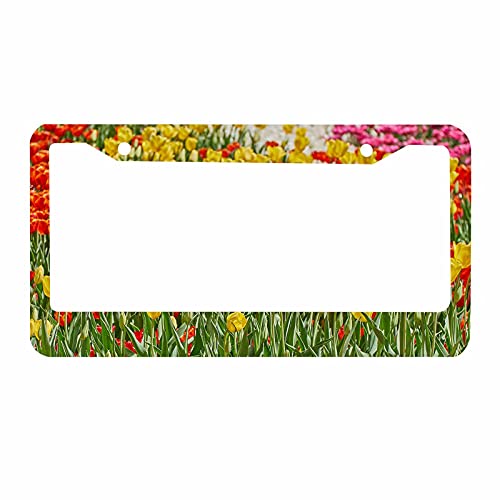Nicokee Decorative License Plate Frame Fastasticdeals Tulip Flowers Car Tag Cover Aluminum Auto License Plate Holder For Men Women #TOP6