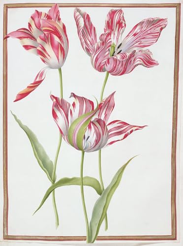 Toile Trois tulipes cassées de Nicolas Robert pour créer une ambiance nature dans votre salon
