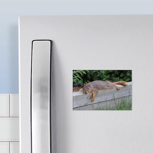 Imán decorativo rectangular CafePress 3x2 pulgadas miniatura 3