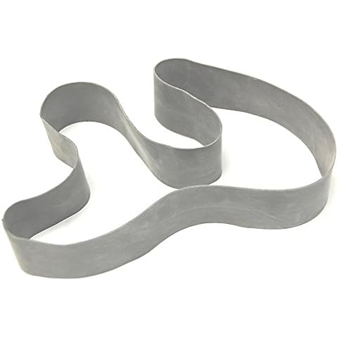 Lethan Corporation Replacement Belt for American Educational 7-511 Van De Graaff *Belt ONLY Cover