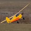 HobbyZone Champ Anniversary Special Edition 515mm BNF Basic with Safe Select, HBZ04950
