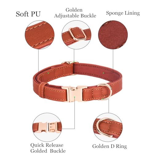 Collar para perro con hebilla dorada, suave PU, talla S miniatura 2