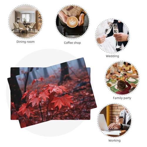 Sets de table automne en lin pour décoration de table de cuisine conviviale - 6