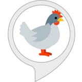 Erbacci LTD