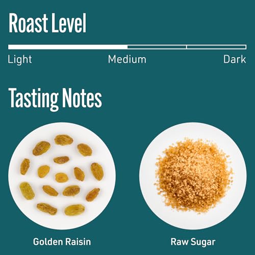 Intelligentsia Coffee Medium Roast Whole Bean 36 Onzas miniatura 4