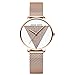 RORIOS Femme Montre Analogique Quartz Watches Minimaliste Facile Cadran Acier Inoxydable Mesh Bracelet Mode Ladies Casual Montre